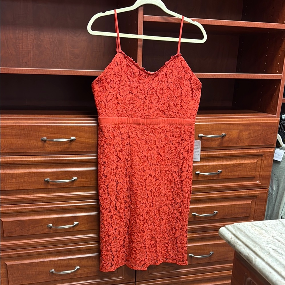 NEW NSR (Napean Sea Rd) Burnt Orange Lined Dress